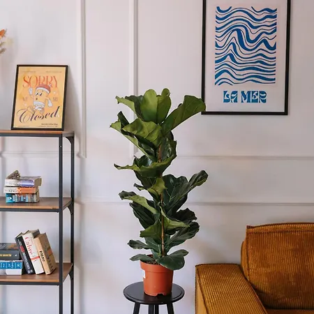 Teczowa 2 Appartamento *