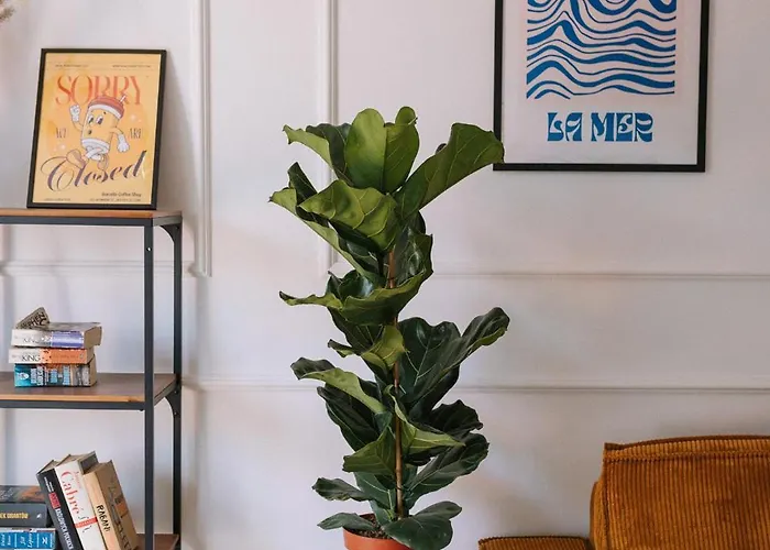 Teczowa 2 Appartement *